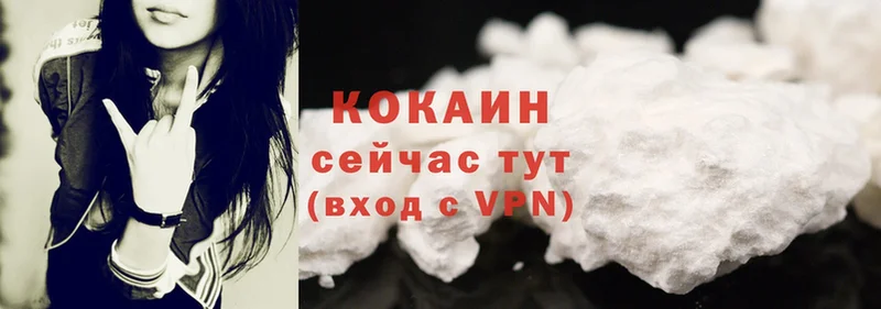 Cocaine FishScale  Новомичуринск 