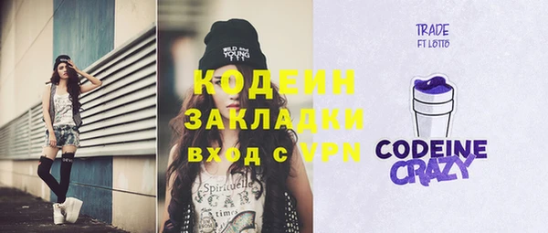 индика Новодвинск