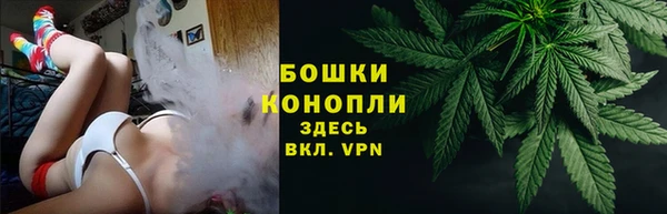 Альфа ПВП Нягань
