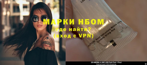 индика Новодвинск