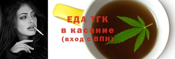 индика Новодвинск