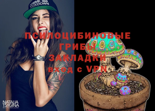 Альфа ПВП Нягань