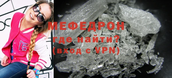 индика Новодвинск
