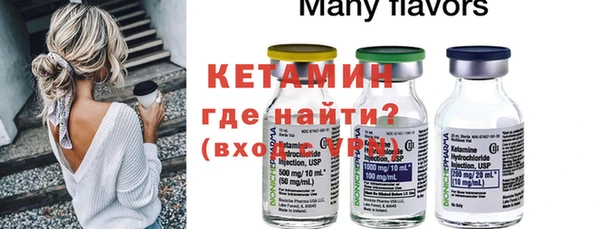 индика Новодвинск