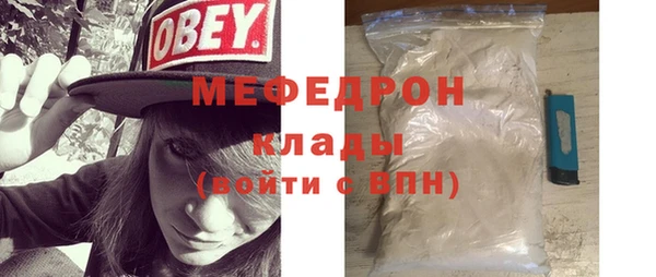 индика Новодвинск