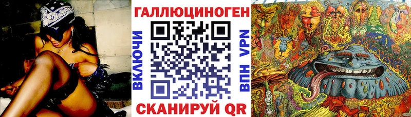 закладка  Новомичуринск  Галлюциногенные грибы прущие грибы 